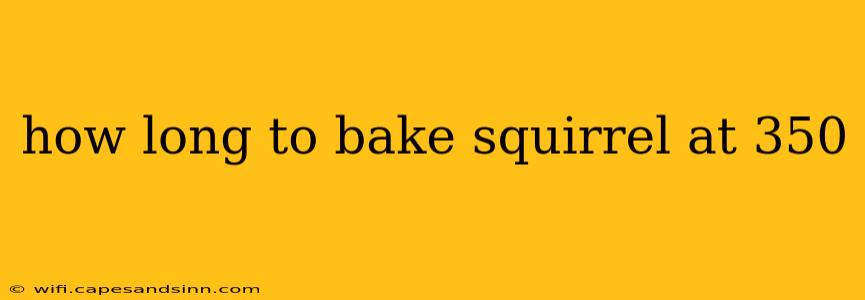 how long to bake squirrel at 350