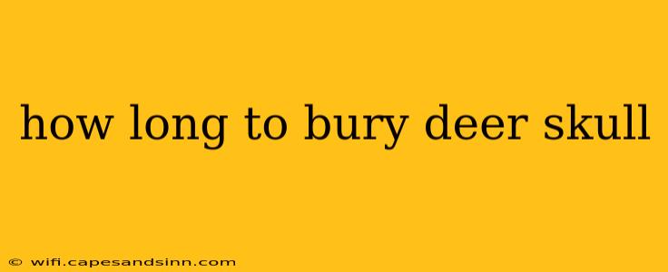 how long to bury deer skull