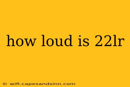 how loud is 22lr