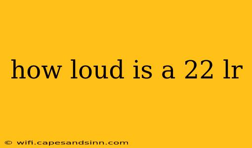 how loud is a 22 lr