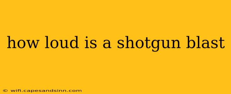 how loud is a shotgun blast