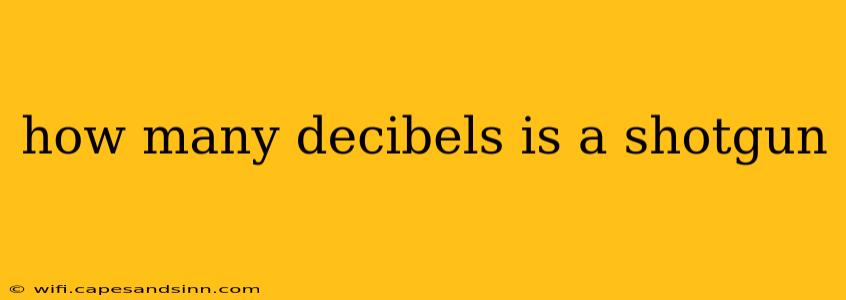 how many decibels is a shotgun