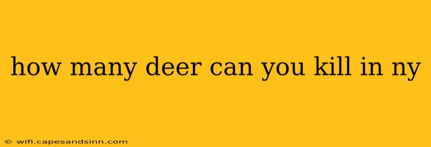 how many deer can you kill in ny