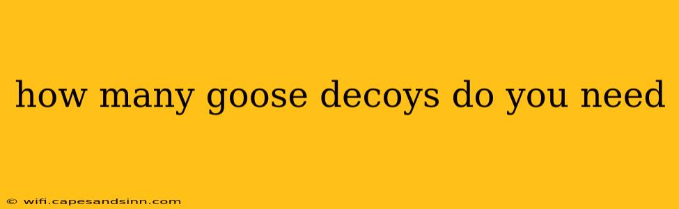 how many goose decoys do you need