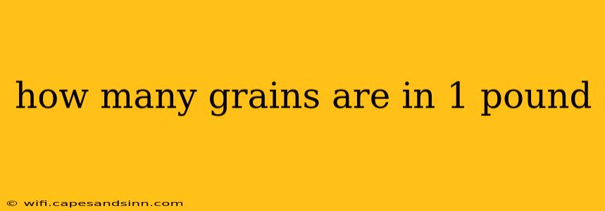 how many grains are in 1 pound