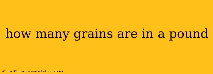 how many grains are in a pound