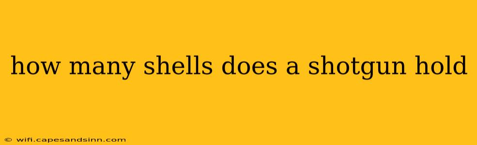 how many shells does a shotgun hold