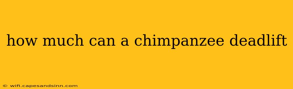 how much can a chimpanzee deadlift