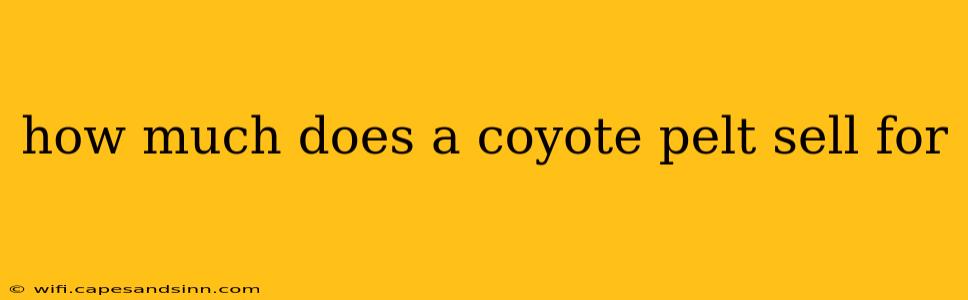 how much does a coyote pelt sell for