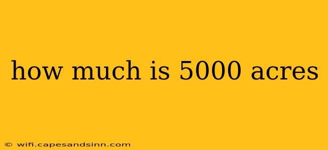 how much is 5000 acres