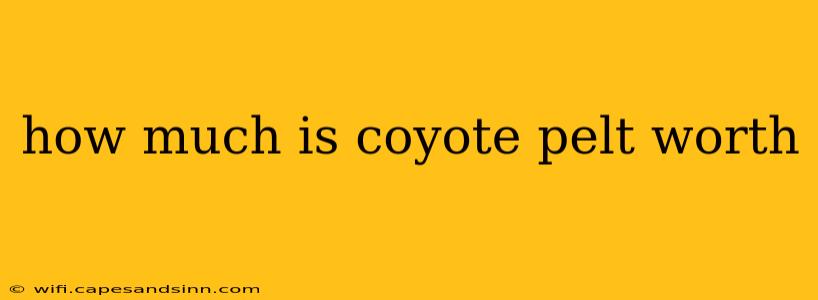 how much is coyote pelt worth