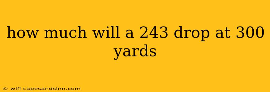 how much will a 243 drop at 300 yards