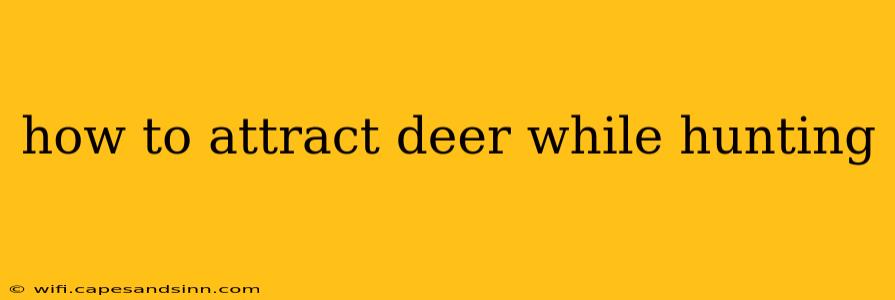 how to attract deer while hunting