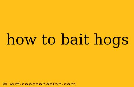 how to bait hogs