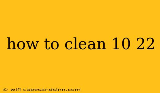 how to clean 10 22