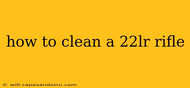 how to clean a 22lr rifle