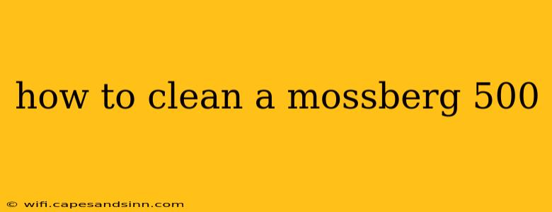 how to clean a mossberg 500