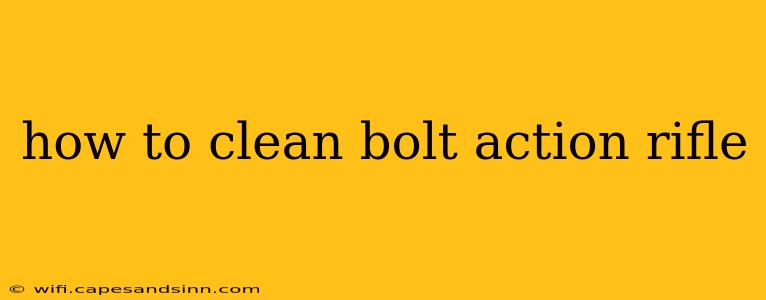 how to clean bolt action rifle