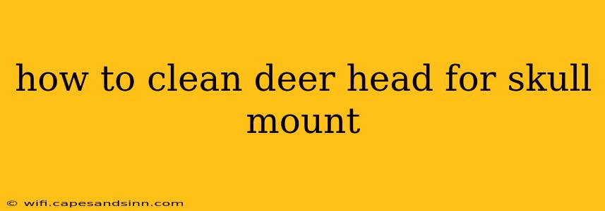 how to clean deer head for skull mount