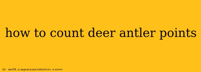 how to count deer antler points