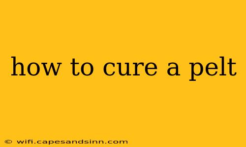 how to cure a pelt