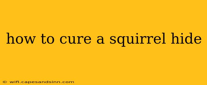 how to cure a squirrel hide