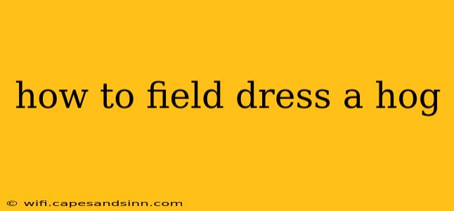 how to field dress a hog