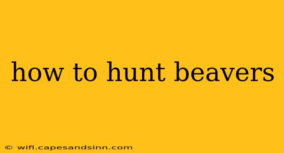 how to hunt beavers