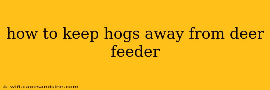 how to keep hogs away from deer feeder