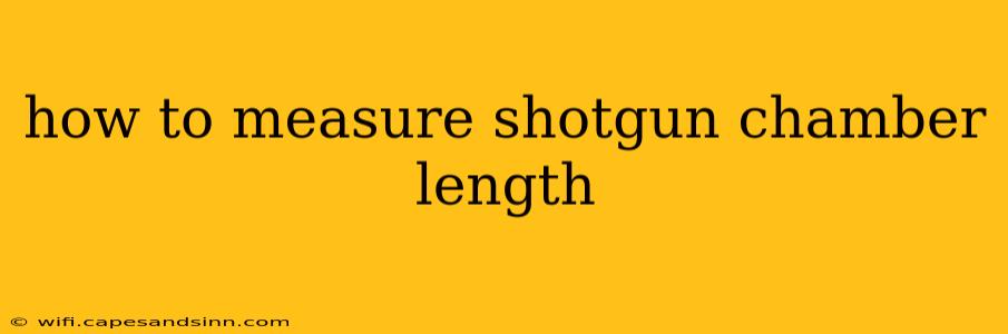 how to measure shotgun chamber length