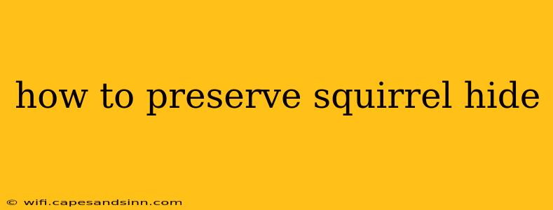 how to preserve squirrel hide