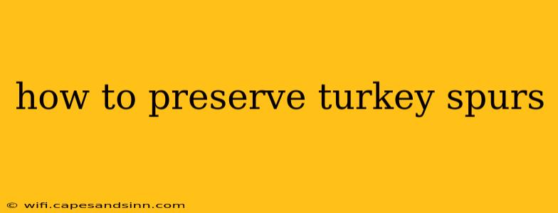 how to preserve turkey spurs