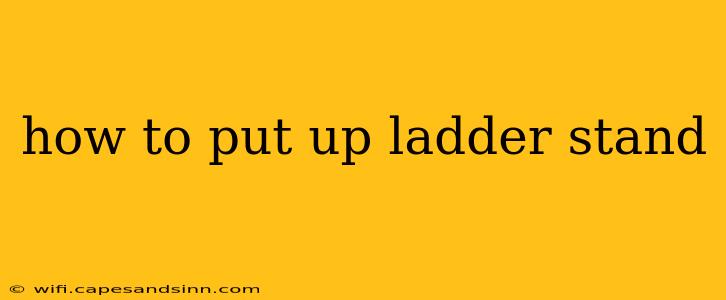 how to put up ladder stand