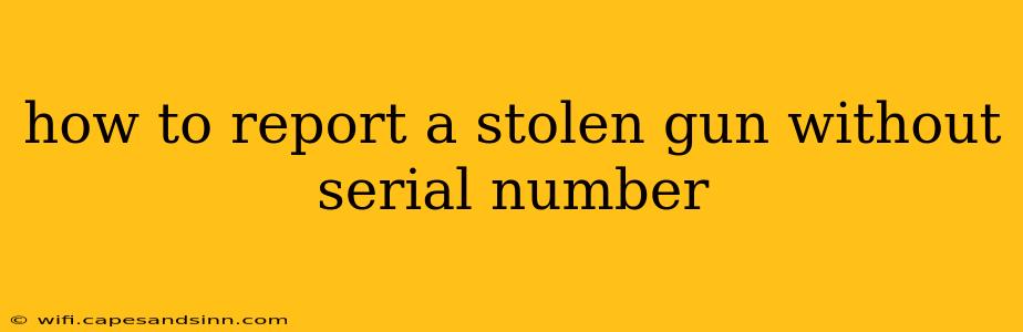 how to report a stolen gun without serial number