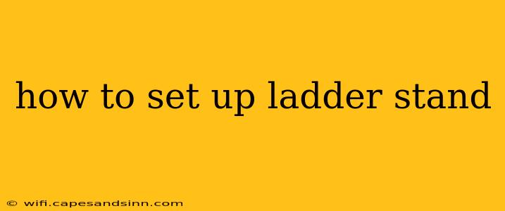 how to set up ladder stand