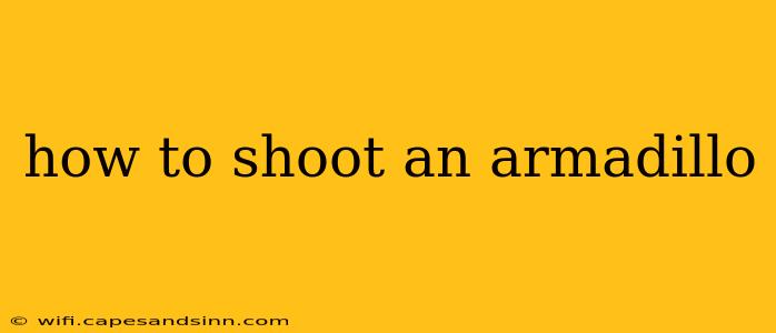 how to shoot an armadillo