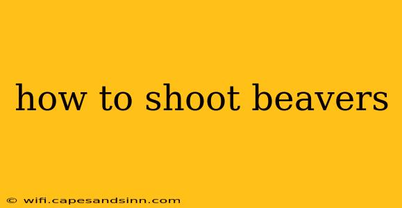 how to shoot beavers