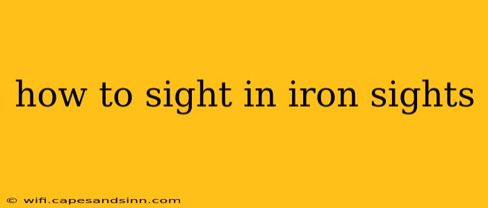 how to sight in iron sights