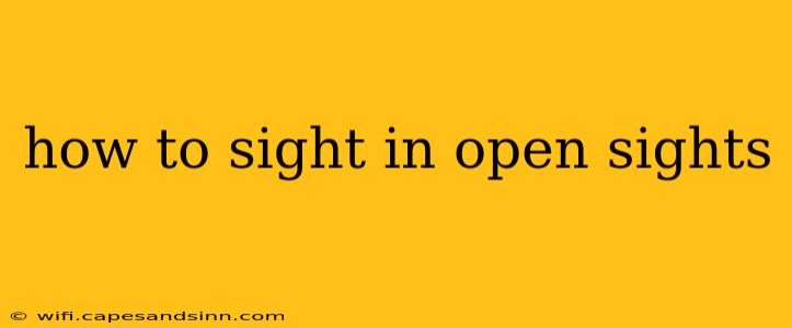 how to sight in open sights