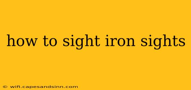 how to sight iron sights