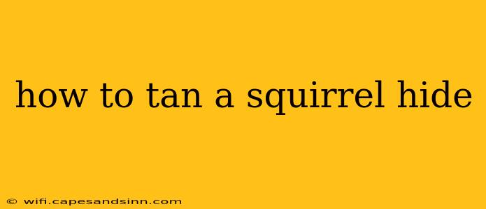 how to tan a squirrel hide