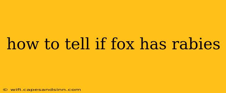 how to tell if fox has rabies