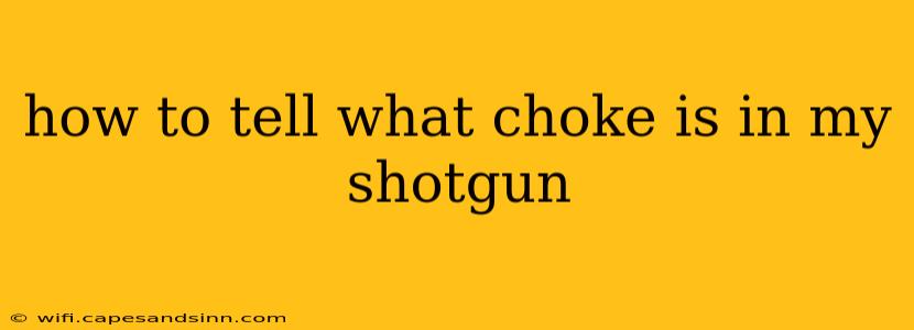 how to tell what choke is in my shotgun