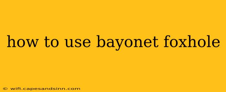 how to use bayonet foxhole