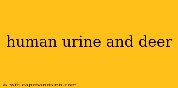 human urine and deer