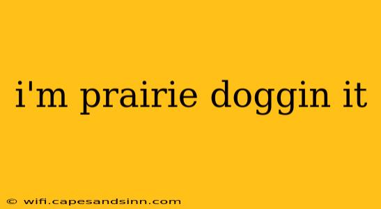 i'm prairie doggin it