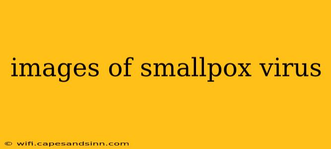 images of smallpox virus