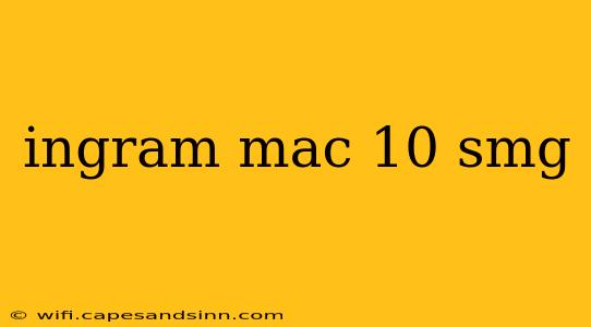 ingram mac 10 smg