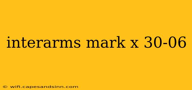 interarms mark x 30-06