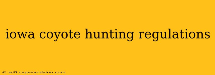 iowa coyote hunting regulations